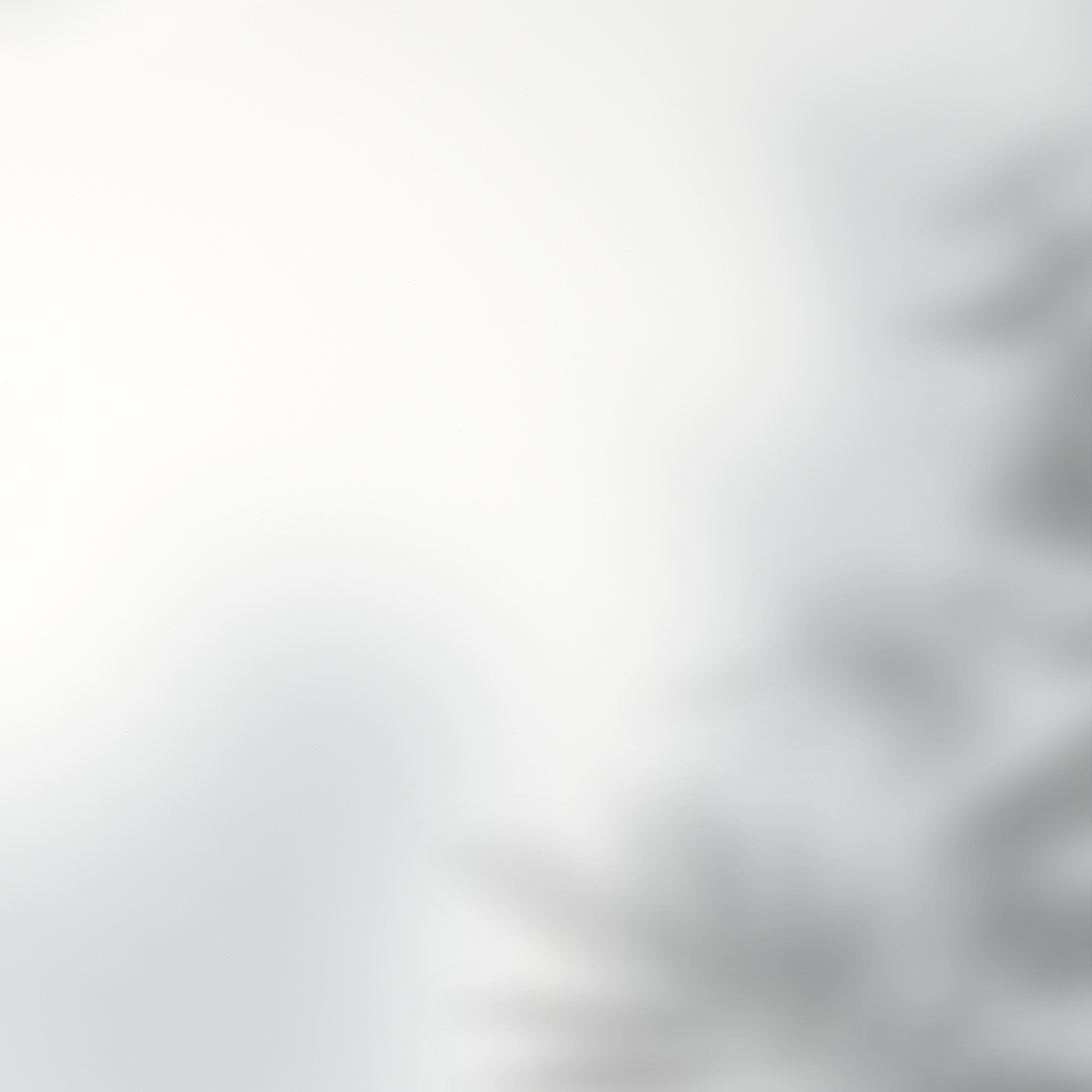 Tree Leaves' Illustration